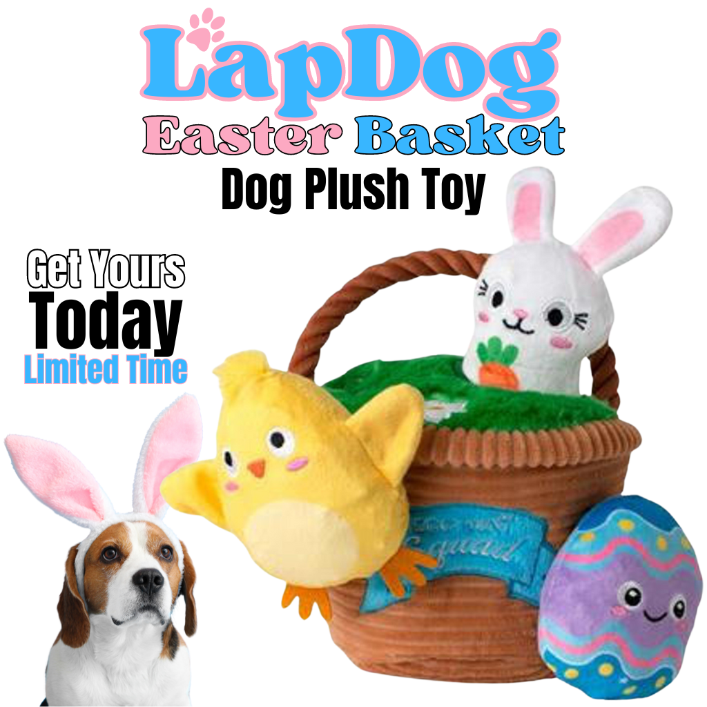 Egg Hunt and Seek Plush Dog Toys