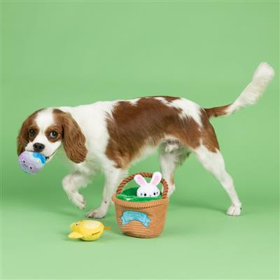 Egg Hunt and Seek Plush Dog Toys