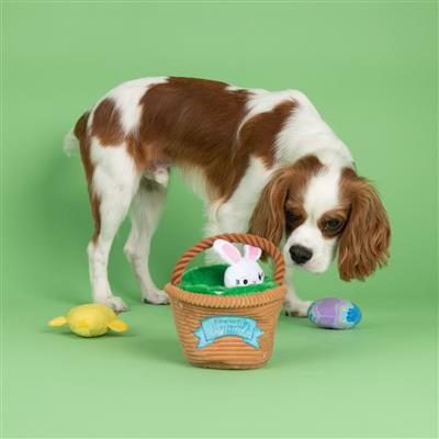 Egg Hunt and Seek Plush Dog Toys