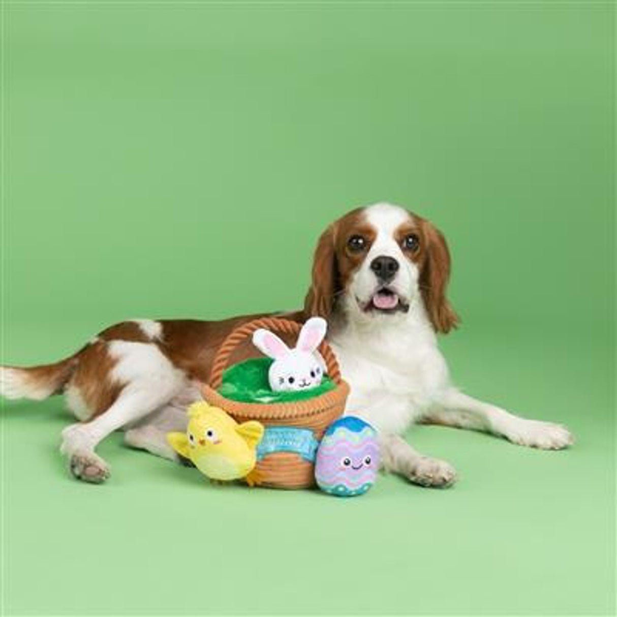 Egg Hunt and Seek Plush Dog Toys