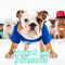 Apparel & Accessories