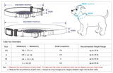 Martingale Dog Collar