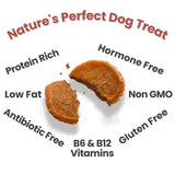 Turkey Chips Dog Treats