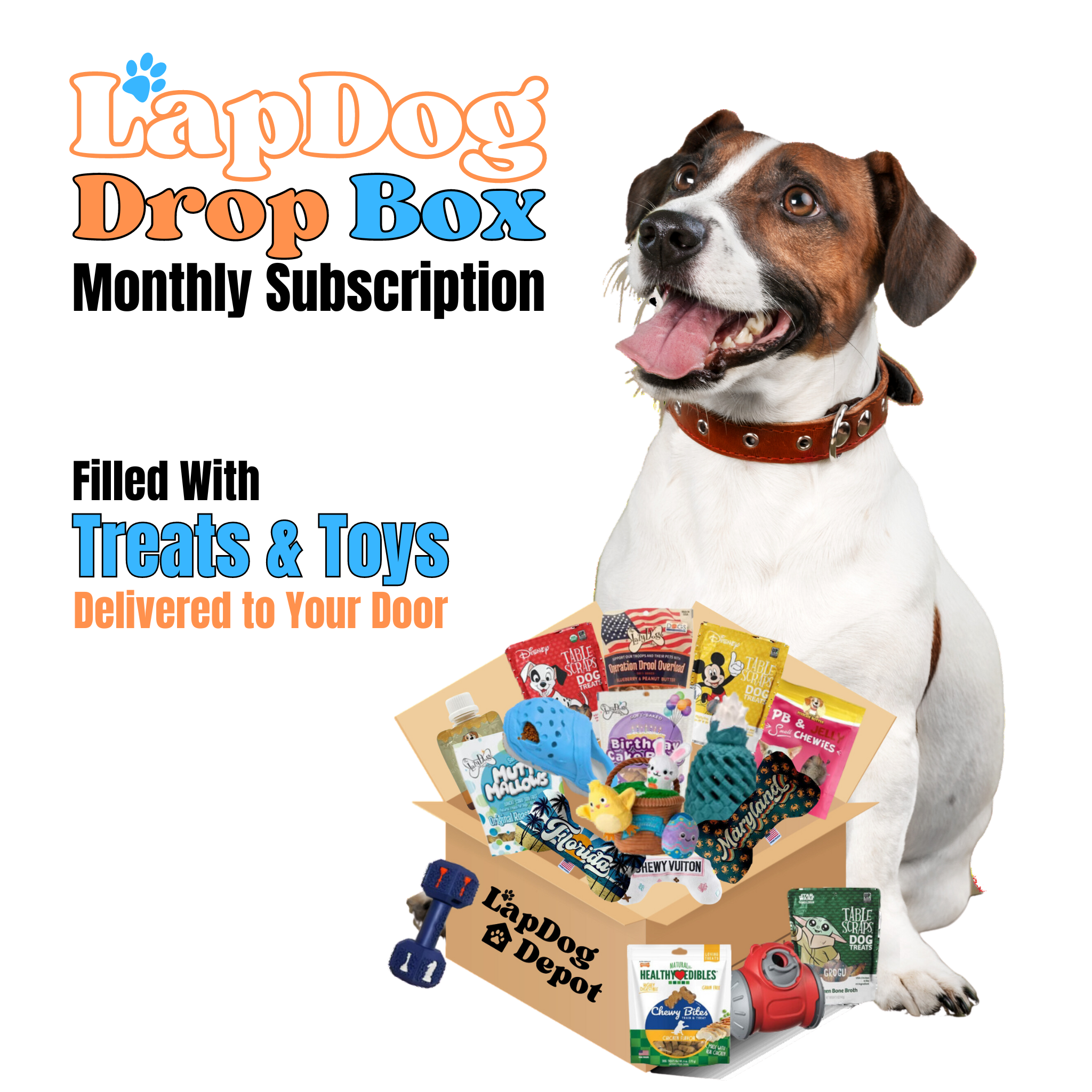 Lapdog Drop Box Subscribe Save – LapDog Depot