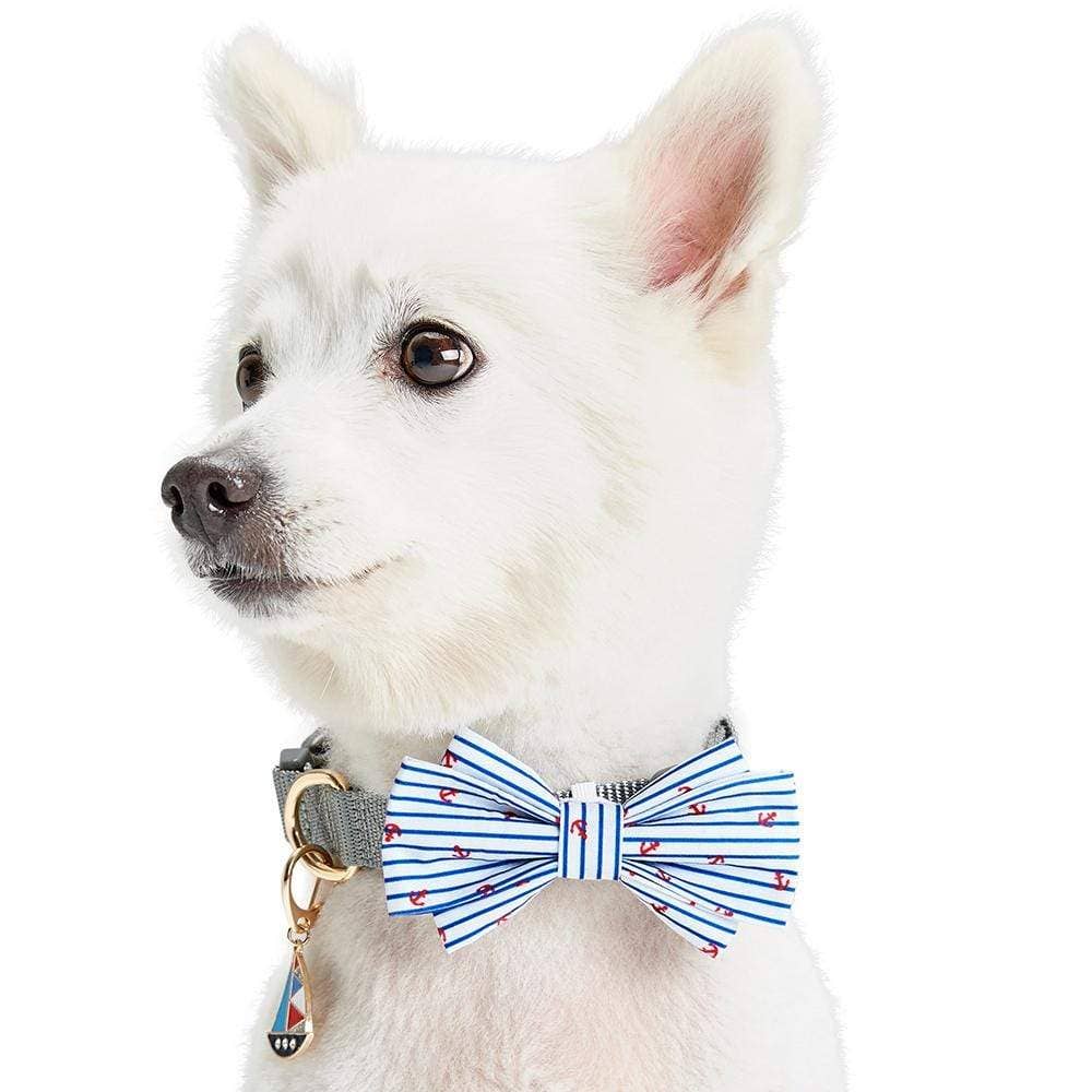 Nautical Dog Collar Bowtie Set
